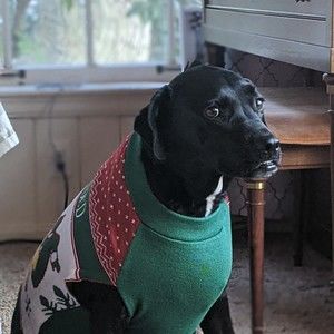 Meet your Posher, Posh